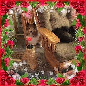 Meet your Posher, Debby